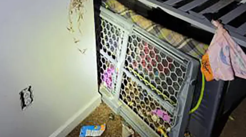 Böyle canilik görülmedi! İki yaşındaki oğlunu dışkıyla kaplı ev yapımı kafese kilitledi... "2 yaşındaki çocuk insan dışkısıyla kaplıydı"