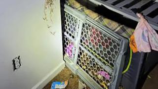 Böyle canilik görülmedi! İki yaşındaki oğlunu dışkıyla kaplı ev yapımı kafese kilitledi... 2 yaşındaki çocuk insan dışkısıyla kaplıydı