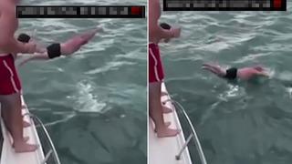 Tekneden balinanın üzerine atlayan adamın görüntüleri viral olmuştu! 'Şok edici ve aptalca' denildi... Cezası gecikmedi