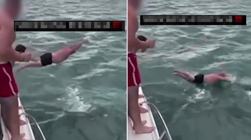 Tekneden balinanın üzerine atlayan adamın görüntüleri viral olmuştu! 'Şok edici ve aptalca' denildi... Cezası gecikmedi