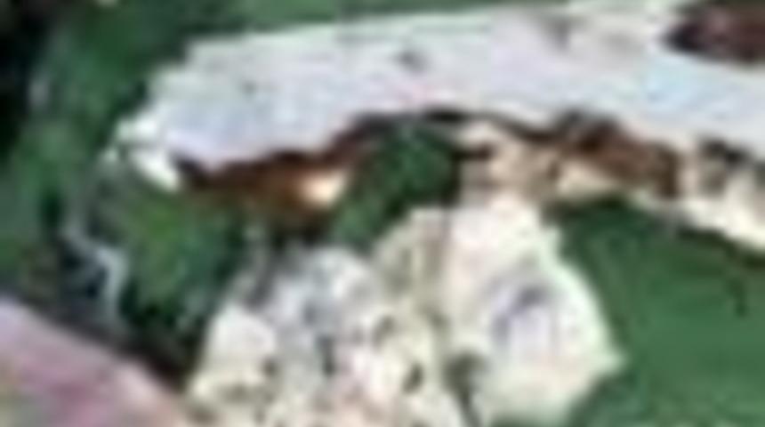 EgyptAir uçağının enkazından ilk fotoğraflar