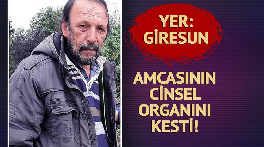 Amcasının cinsel organını kesti! Yanına misafir olarak gelmişti... Giresun'da korkunç cinayet