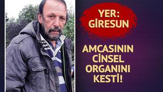 Amcasının cinsel organını kesti! Yanına misafir olarak gelmişti... Giresun'da korkunç cinayet