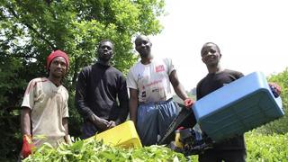 Günlük 5 bin lira kazandığını söylemişti! O işçiler kaçak çıktı: Sınır dışı edilecekler