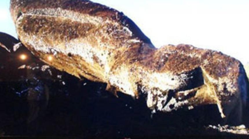 Ekran teknolojilerinde yeni standart UltraHD