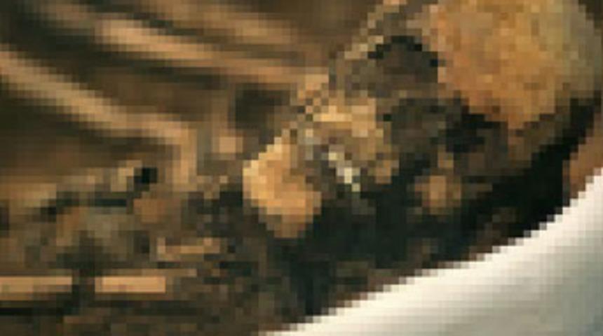 15 yıl sonra yatağında iskeleti bulundu