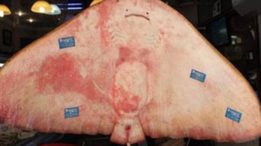 Marmara'da yakalandı