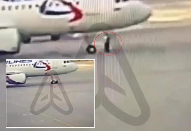 Mucize kurtuluş! Taksi yapan u&ccedil;ak yer ekibi &ccedil;alışanını ezdi... Korkun&ccedil; anlar saniye saniye g&uuml;venlik kamerasına yansıdı