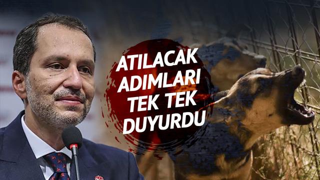 Türkiye'nin konuştuğu sokak hayvanları için o belediyeler kolları sıvadı! '24 saat canlı yayın' detayı: Projemiz bu
