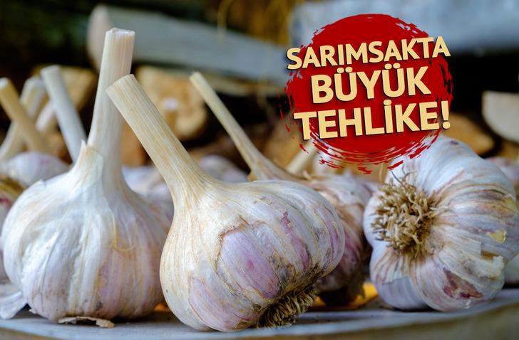 Sarımsakta b&uuml;y&uuml;k tehlike! Uzmanlar uyardı: &lsquo;İnsan dışkısı bile bulundu&hellip;&rsquo;