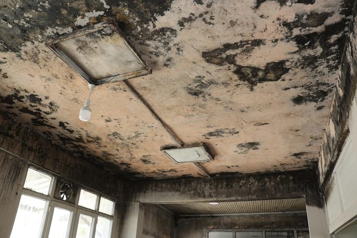 Belediyeye ait fırının görüntüleri büyük tepki çekti! ‘Pislik içinde, rezalet’ diyerek paylaştılar… G1