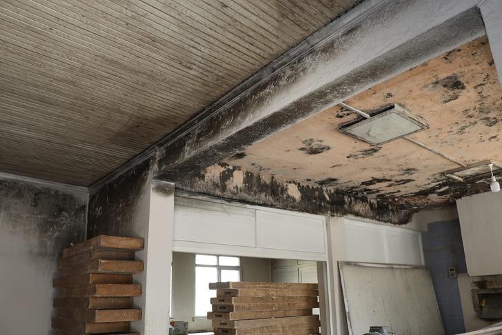 Belediyeye ait fırının görüntüleri büyük tepki çekti! ‘Pislik içinde, rezalet’ diyerek paylaştılar… G2