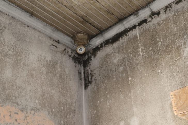 Belediyeye ait fırının görüntüleri büyük tepki çekti! ‘Pislik içinde, rezalet’ diyerek paylaştılar… G3