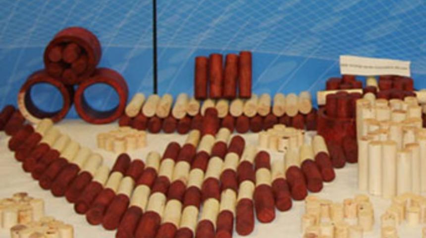 İstanbul'da ilk kez yakalandı