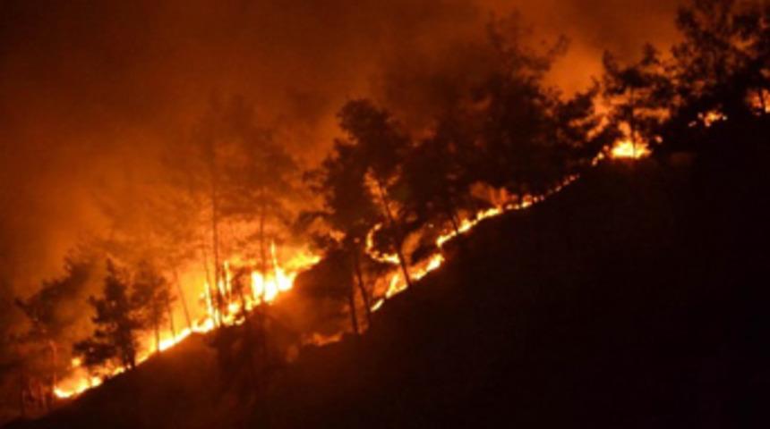 Didim'de orman yangını