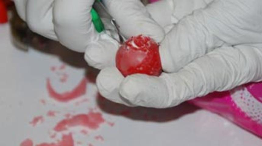 Bu kadarına da pes artık!