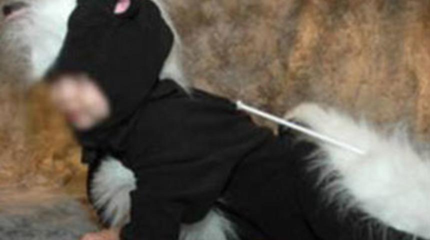 Kostümünü gerçek sanıp vurdular!