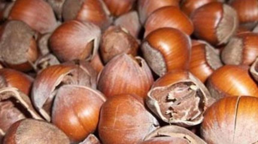 Kabuğu kendinden pahalı