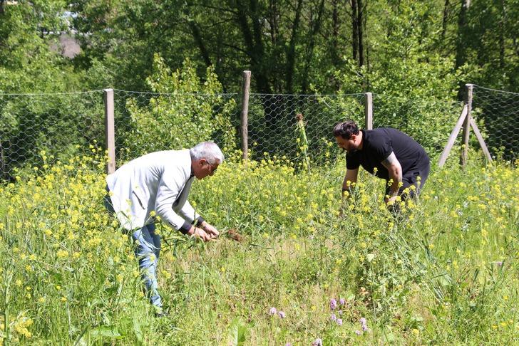  Fındığa ve çaya alternatif: Kilosu 1500 TL’den satılıyor: "Dövize, dolara yatırmam, buna yatırırım, kazançlı iş" G2