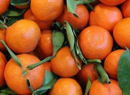  Narenciye sektöründe 'Irak' etkisi: Tarihinde ilk kez 1 milyar dolar barajını aştı