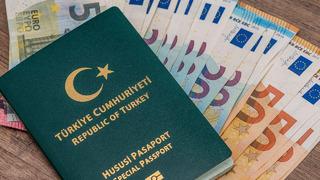 Çalıştay toplandı: Mali müşavirler de yeşil pasaport istiyor