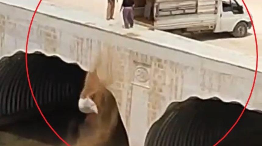 Kamyonetle gelip dereye hayvan pisliği döktü