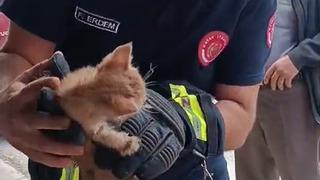 Vatandaşlar fark etti! Boruya sıkışan yavru kedi, itfaiye ekipleri tarafından böyle kurtarıldı