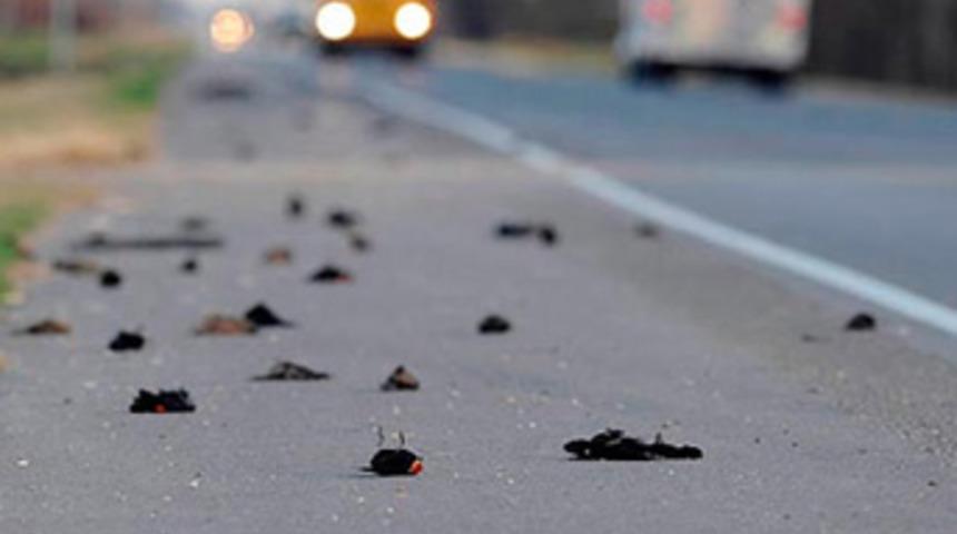 Kıyamet değil, sarhoşluk!