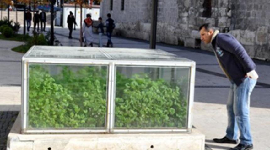 &Ouml;ğrenince şaşırıyorlar!