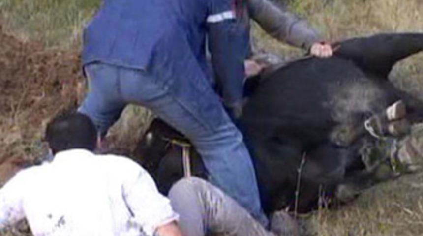 Kurbandan ka&ccedil;arken &ccedil;ukura d&uuml;şt&uuml;