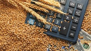 Emtia piyasasında tarım grubu pozitif ayrıştı