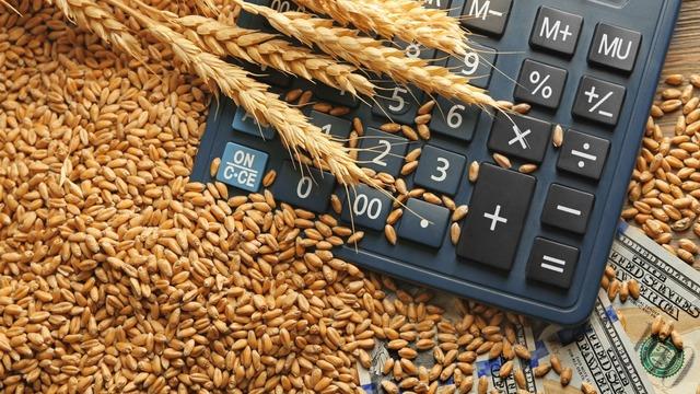 Emtia piyasasında tarım grubu pozitif ayrıştı