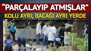 Son dakika | Cansız bedeni 16 parçaya ayrılmış! İstanbul'da tüyler ürperten ceset: Paramparça halde iki farklı konteynerden çıktı