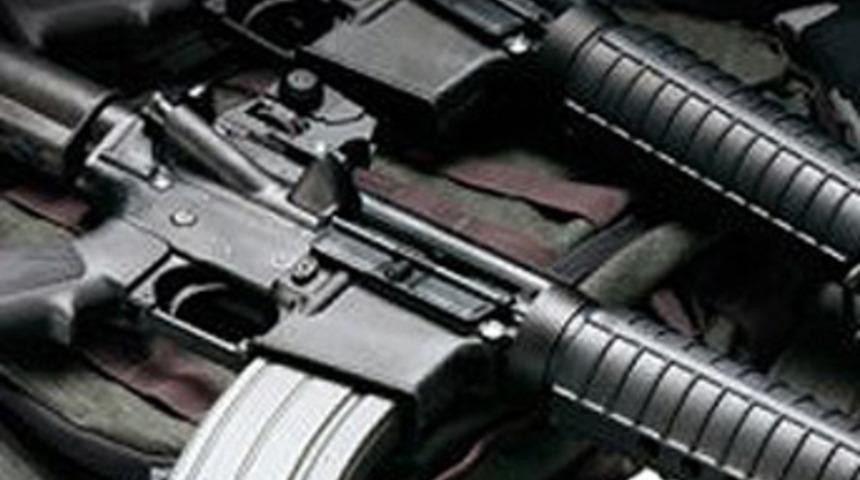 Susturuculu T&uuml;rk bisk&uuml;visi