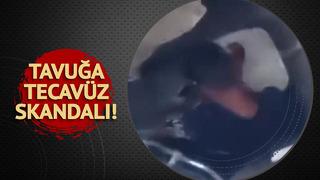 Sosyal medya bu görüntüleri konuşuyor! Mersin’de bir sapık tavuğa tecavüz etti…