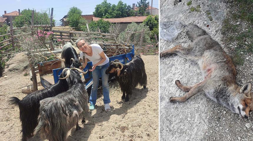 Kendisini ihbar eden komşusuna kabusu yaşattı! 'Orman yolunda beni yalnız yakaladı...'