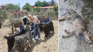 Kendisini ihbar eden komşusuna kabusu yaşattı! 'Orman yolunda beni yalnız yakaladı...'