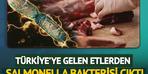 Türkiye'ye gelen 20 ton etten bakteri çıktı! Gıda zehirlenmelerinin başrolü 'salmonella' iddiası doğrulandı