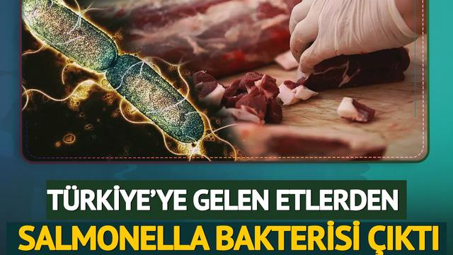 Türkiye'ye gelen 20 ton etten bakteri çıktı! Gıda zehirlenmelerinin başrolü 'salmonella' iddiası doğrulandı