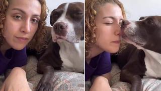 Pitbull cinsi köpeğine sözleri sosyal medyanın gündemine yerleşti! Senin yerinde olmak isteyen insanlar var