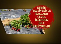 Pazardaki fiyatını görünce eşi teşvik etti! Daha fazla kazanç için yola çıktı... Şehir dışından bile geliyorlar