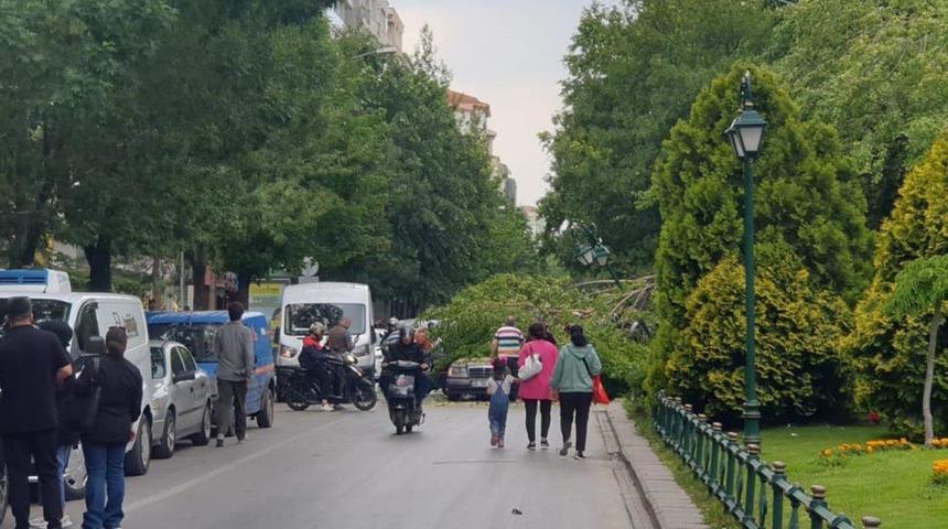 Kırmızı ışıkta beklerken neye uğradığını şaşırdı! Herkes oraya toplandı