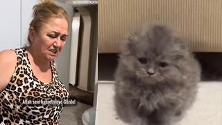'Bu eve kedi giremez' demişti: Birkaç gün sonraki hali güldürttü