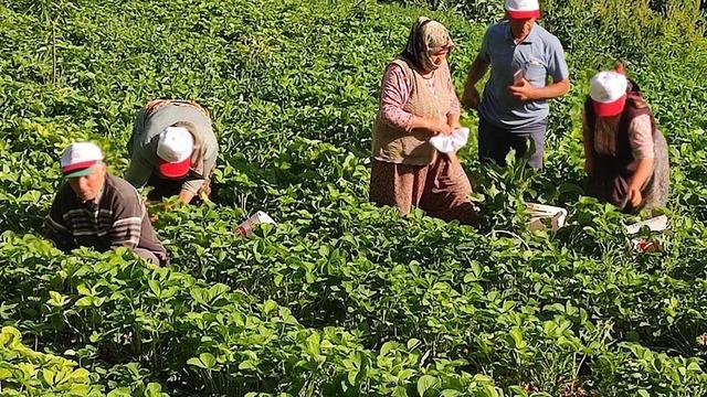 'Her şeyin fiyatı artarken bunun düşüyor' Fiyatı düşünce tepki gösterdiler! 'Zenginler kazanıyor'