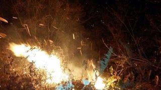 Çatalpınar’da orman yangını