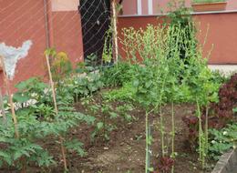 'Adam soruyor gidiyor' Yaz geç gelince satışlar düştü! 'Satılmıyor, yapacak bir şey yok'