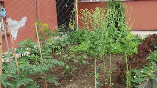 'Adam soruyor gidiyor' Yaz geç gelince satışlar düştü! 'Satılmıyor, yapacak bir şey yok'