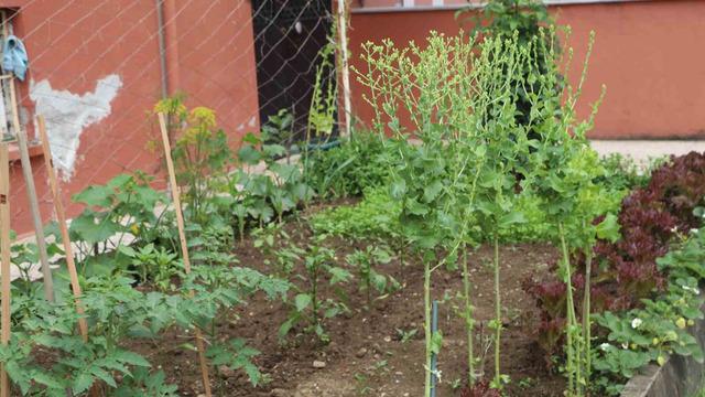 'Adam soruyor gidiyor' Yaz geç gelince satışlar düştü! 'Satılmıyor, yapacak bir şey yok'