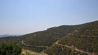 İzmir Valiliği duyurdu! 26 bölgedeki ormanlık alana girişler yasaklandı