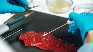 Kurban Bayramı öncesi 'salmonella' bakterisi uyarısı! Yaz aylarında sık görülüyor 'Bazı gruplar daha fazla risk altında'